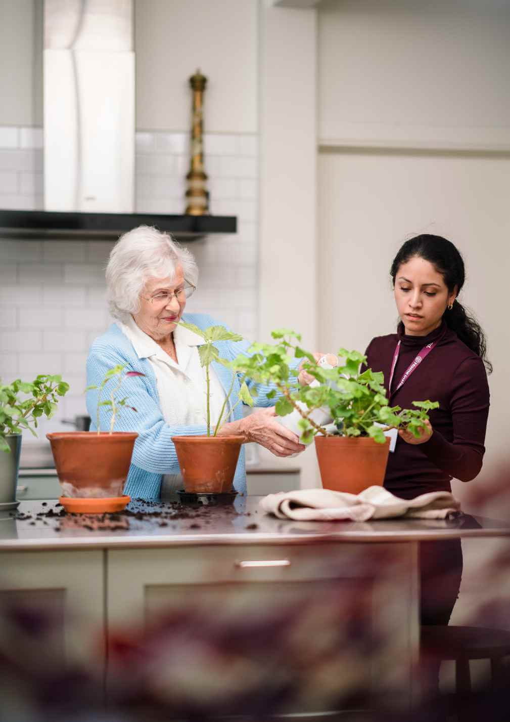 An elderly woman and a younger woman potting plants together in a kitchen setting. - Home Instead