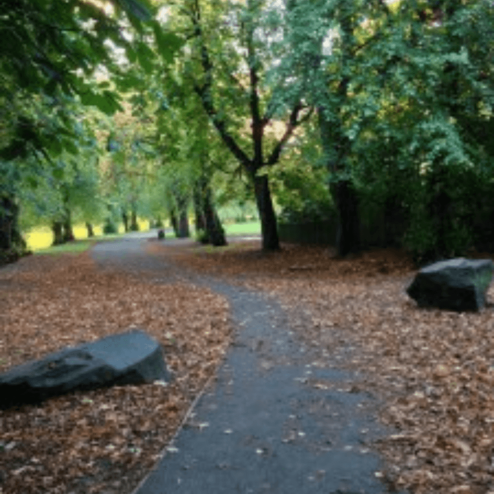 Barshaw Park - A park path surrounded by trees with fallen leaves on the ground during autumn. - Home Instead Renfrewhire and Barrhead home care services