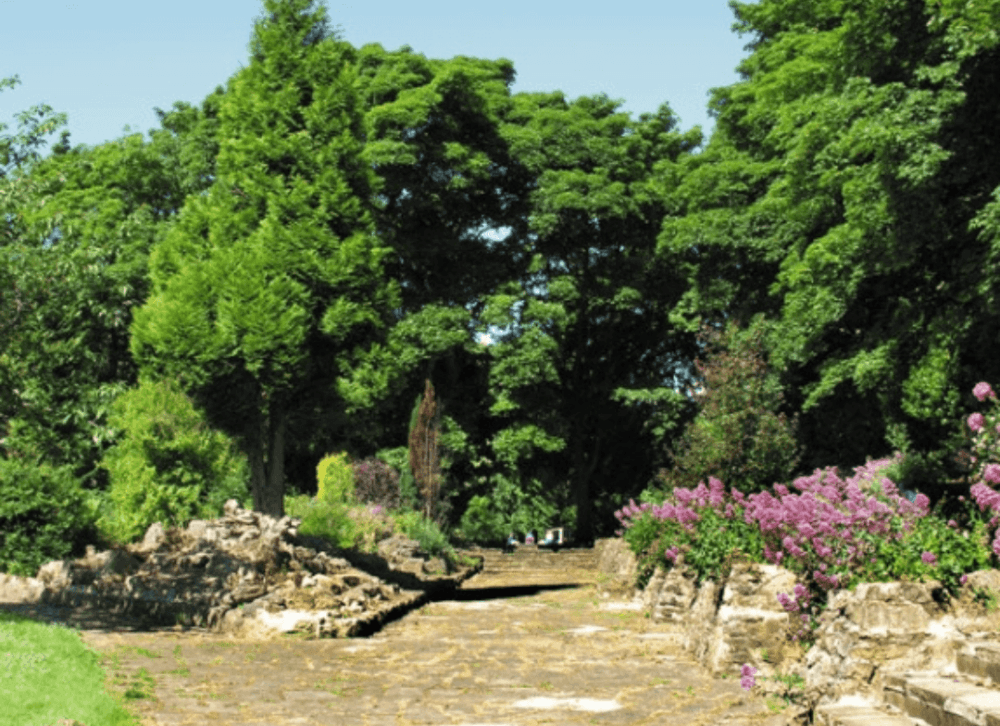 A stone path lined with trees and bushes on a sunny day, with bright purple flowers on the right side. - Home Instead