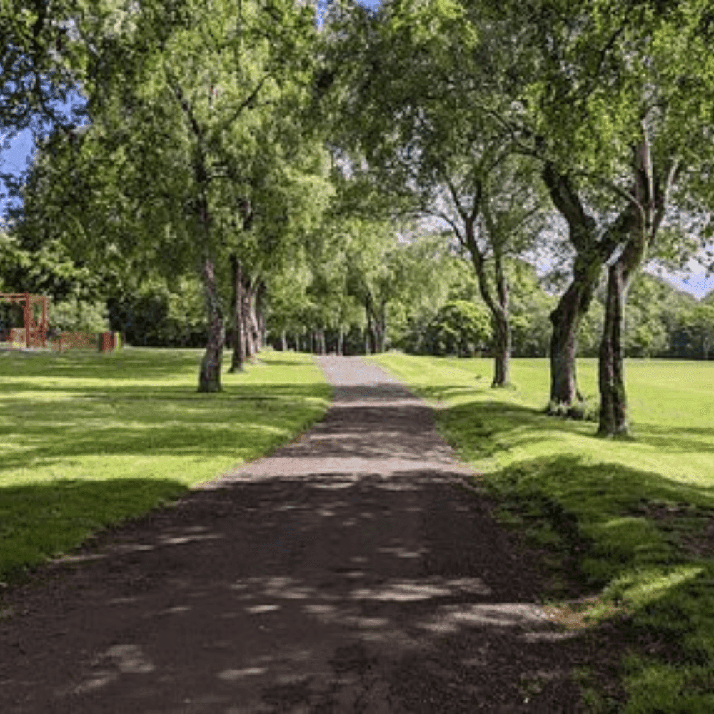 Cowan Park, Barrhead - A shaded path lined with trees on a sunny day in a park, with green grass and a red structure in the background. - Home Instead Renfrewshire and Barrhead home care services