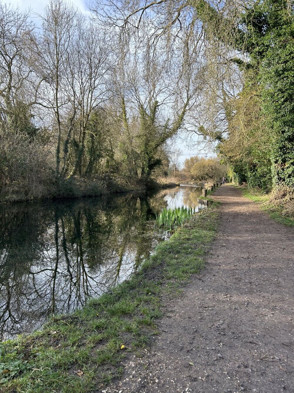 Home Instead Basingstoke picture of Odiham Canal, showing a dirt path running along the canal with bare trees and foliage under a clear sky.