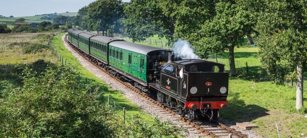 Vintage steam locomotive pulls a line of green passenger cars through a lush countryside with trees and fields. - Home Instead