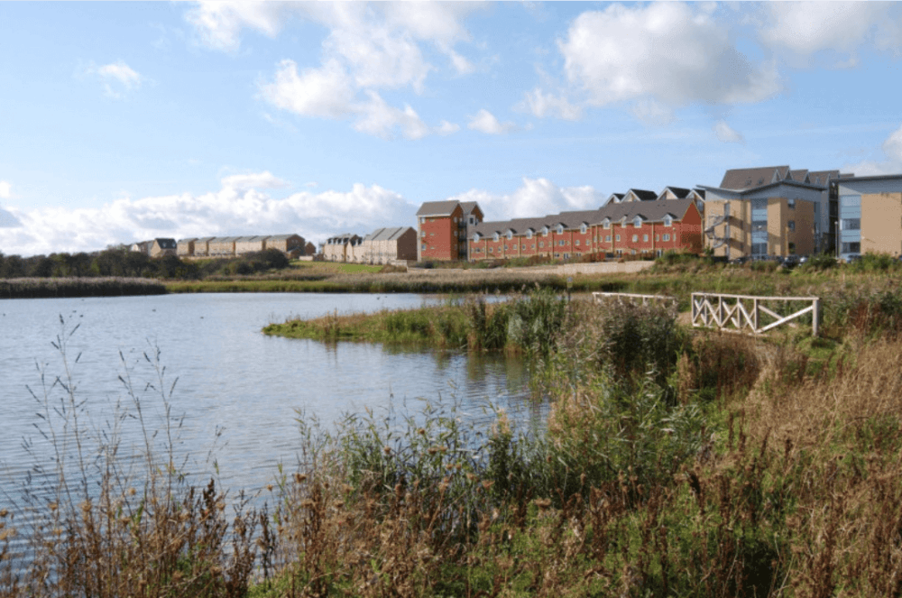 A lakeside view with grassy banks, a white fence to the right, and rows of houses under a blue sky with scattered clouds. - Home Instead