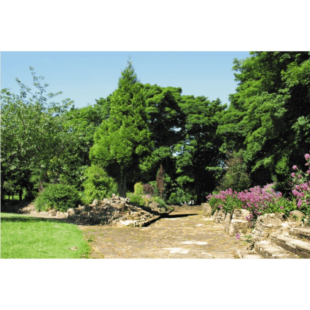 A serene stone path flanked by lush greenery, trees, and blooming purple flowers on a sunny day. - Home Instead