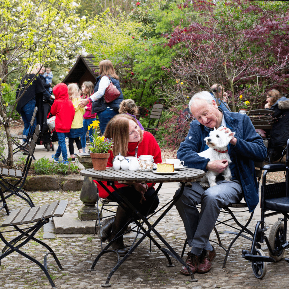 An elderly man holding a dog sits by a woman at an outdoor café table; people and kids gather in the background. - Home Instead
