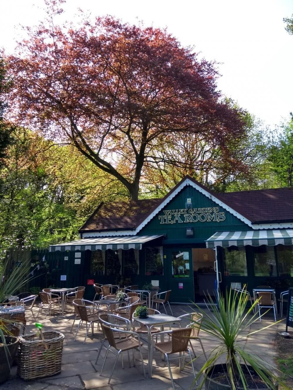 Outdoor seating area of a quaint tea room surrounded by lush trees with sunlight filtering through the leaves. - Home Instead