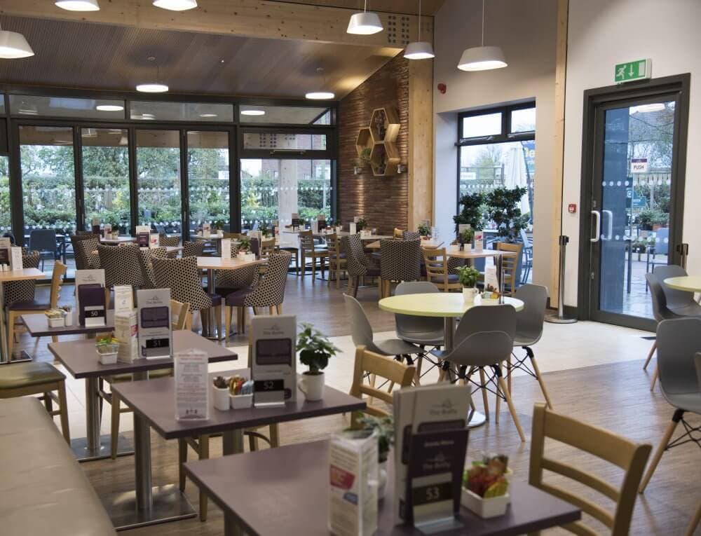 Spacious cafe with wooden tables and chairs, large windows, modern lighting, and plants on each table. - Home Instead