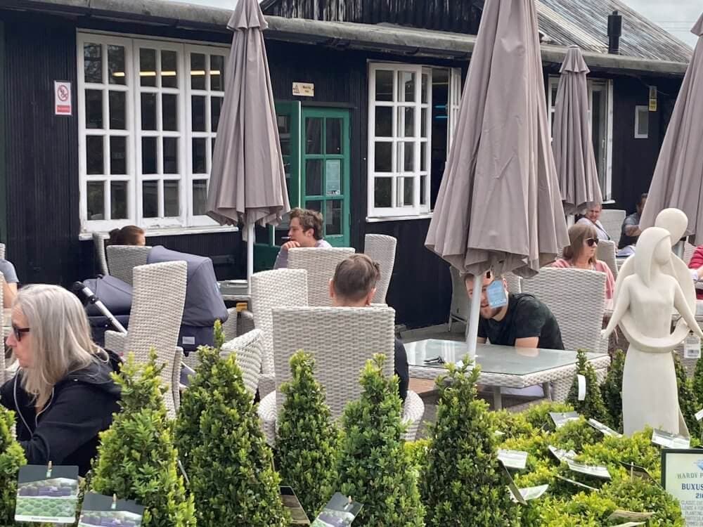 People sit and relax at an outdoor café with gray umbrellas and greenery in the foreground on a sunny day. - Home Instead