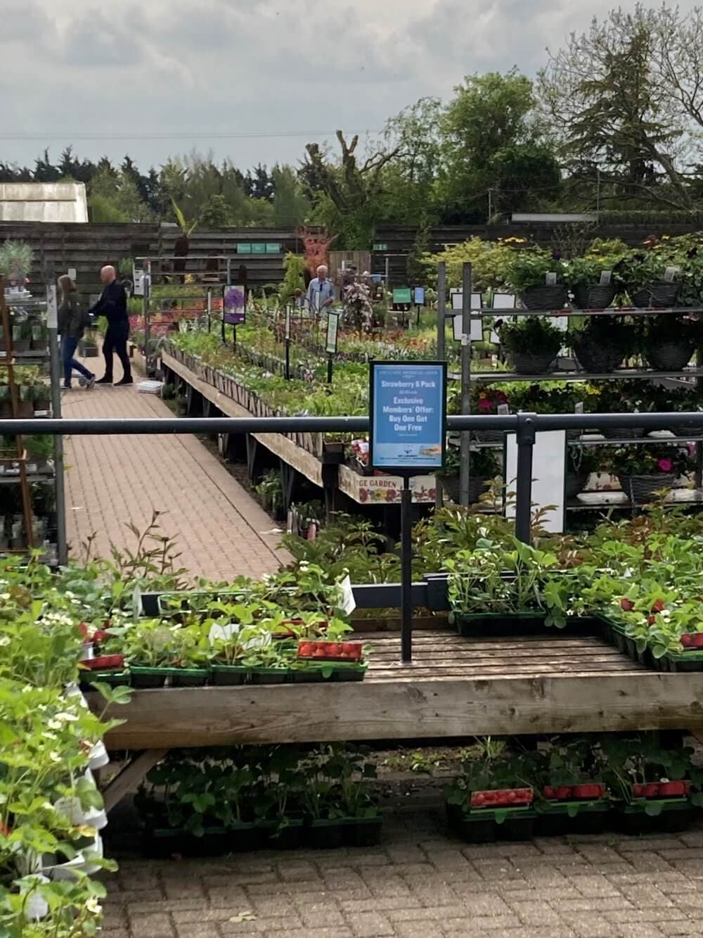 An outdoor garden center with various plants on display tables, signs, and people walking in the background. - Home Instead