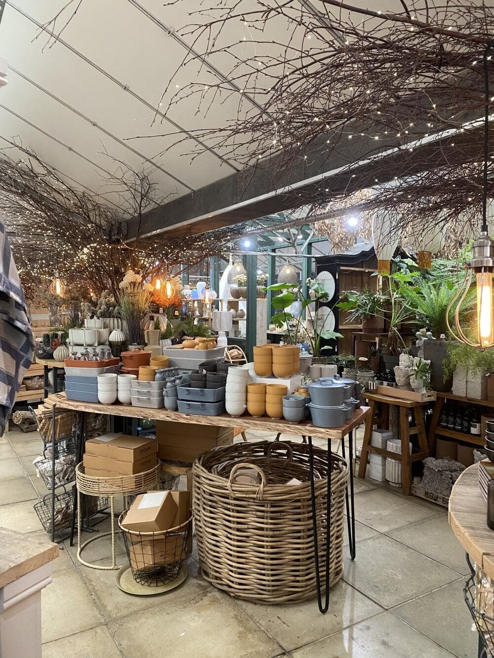 A cozy plant shop with various pots, baskets, and plants displayed on tables under a ceiling decorated with twinkling lights. - Home Instead