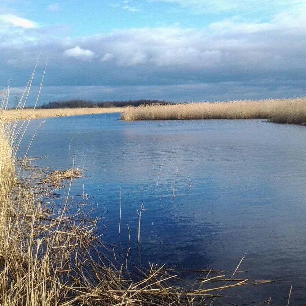 A serene waterway with tall grass on the sides under a partly cloudy sky. - Home Instead