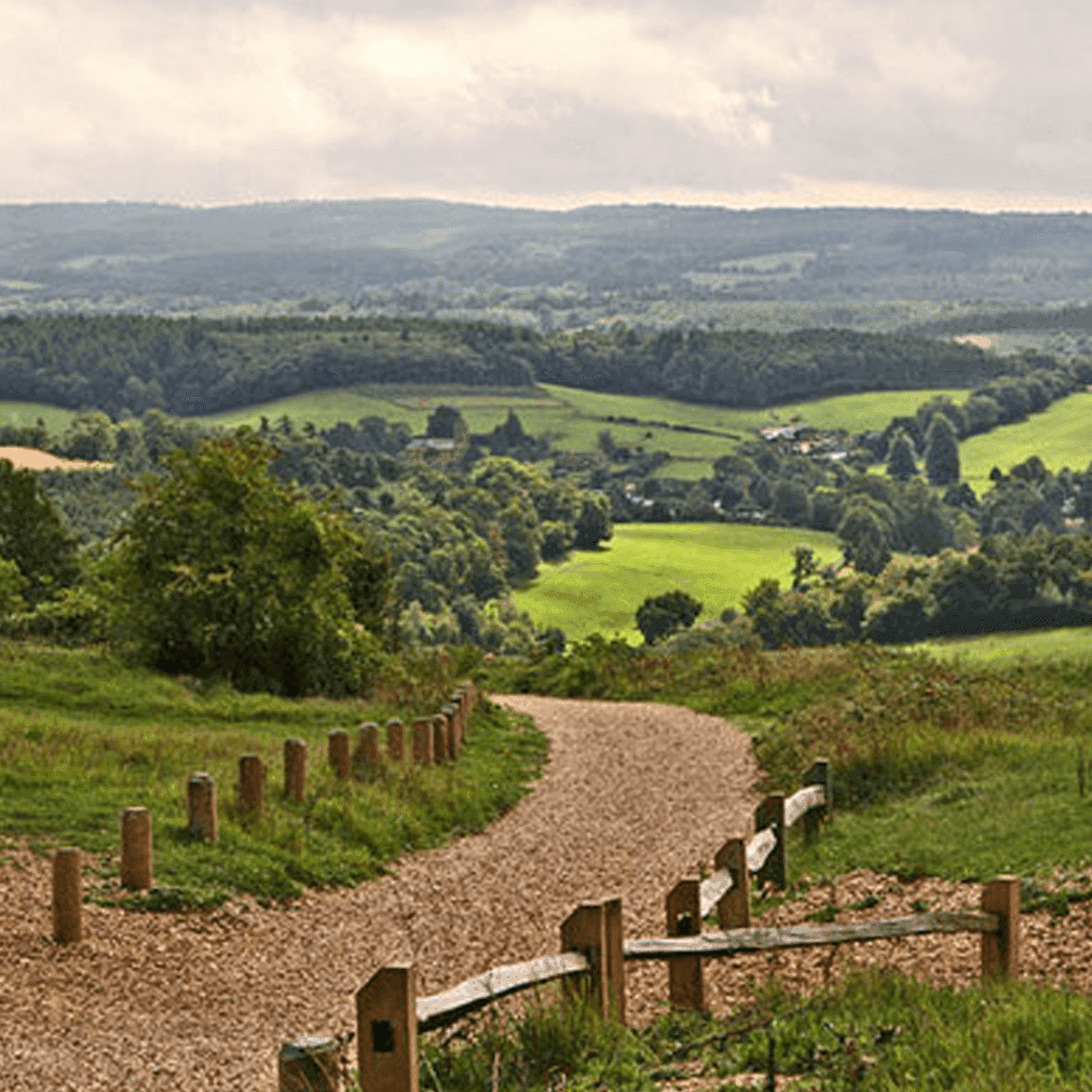 Picturesque countryside landscape scene of the North Downs way