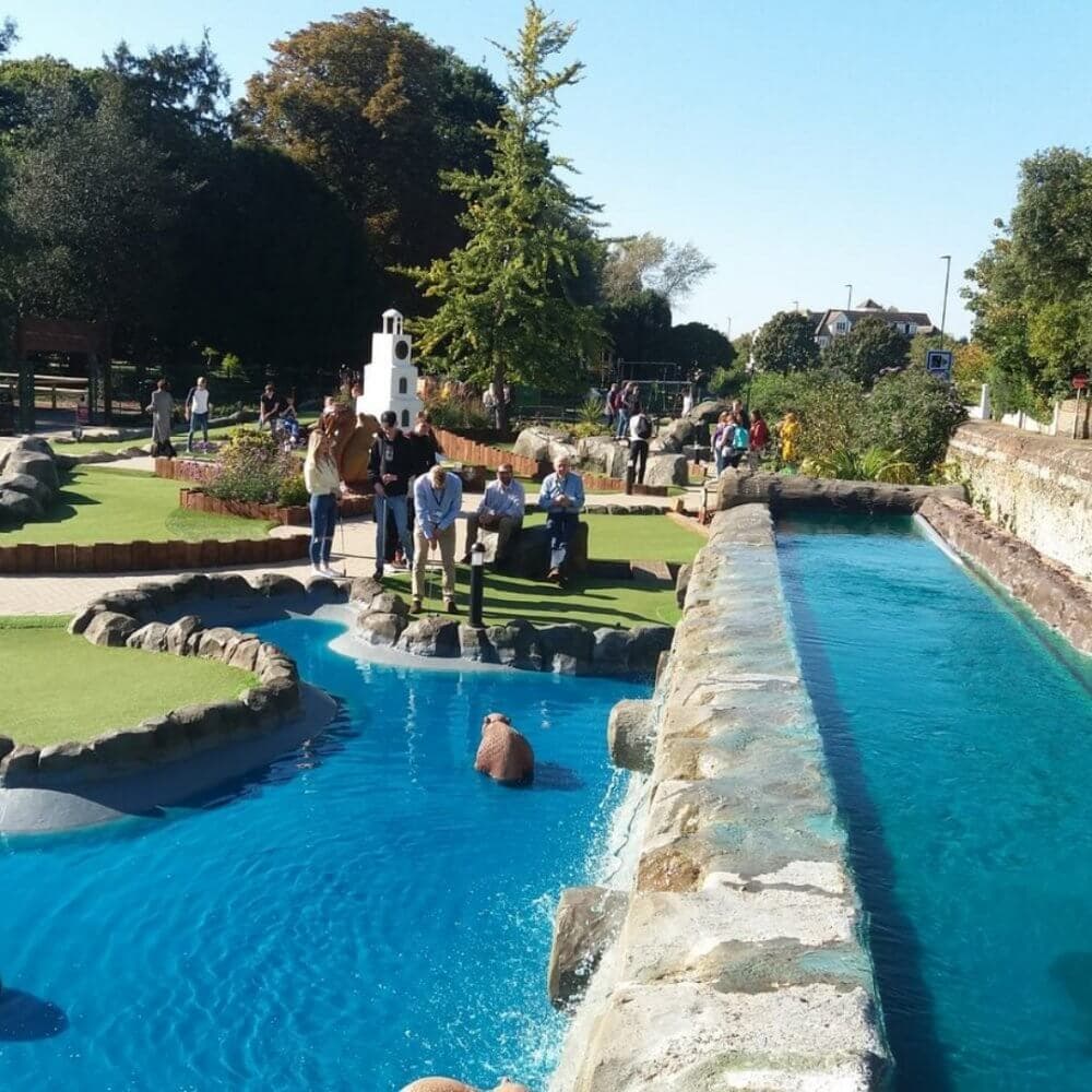 A group of people watch a bear near the water in an outdoor wildlife park on a sunny day. - Home Instead