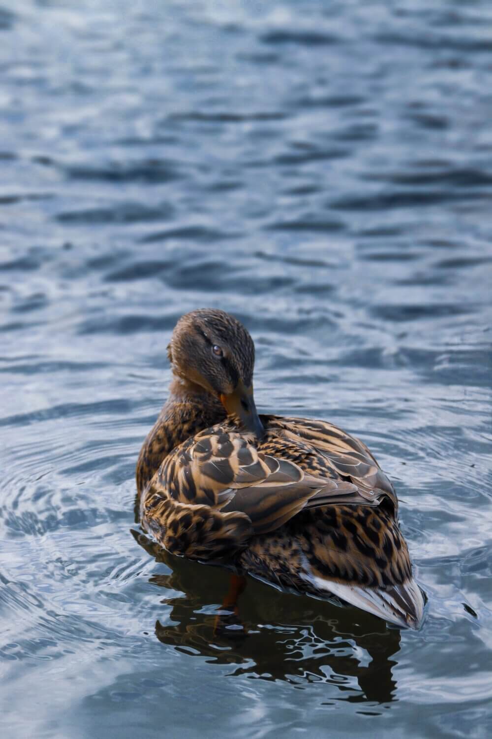 5 Places For Outdoor Walks In Wigan