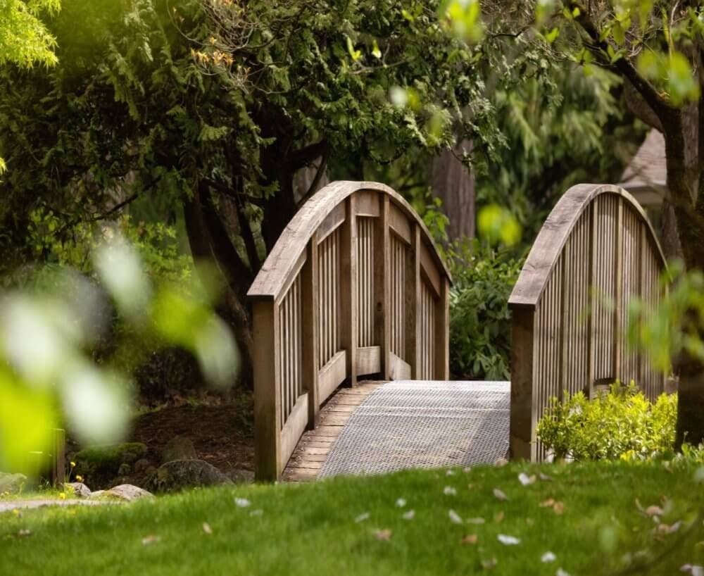 Wooden bridge in a lush green park, surrounded by trees and foliage. - Home Instead