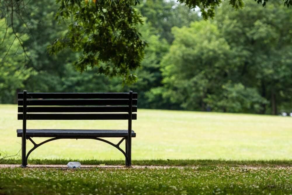 A solitary black bench in a grassy park with dense green trees in the background. - Home Instead