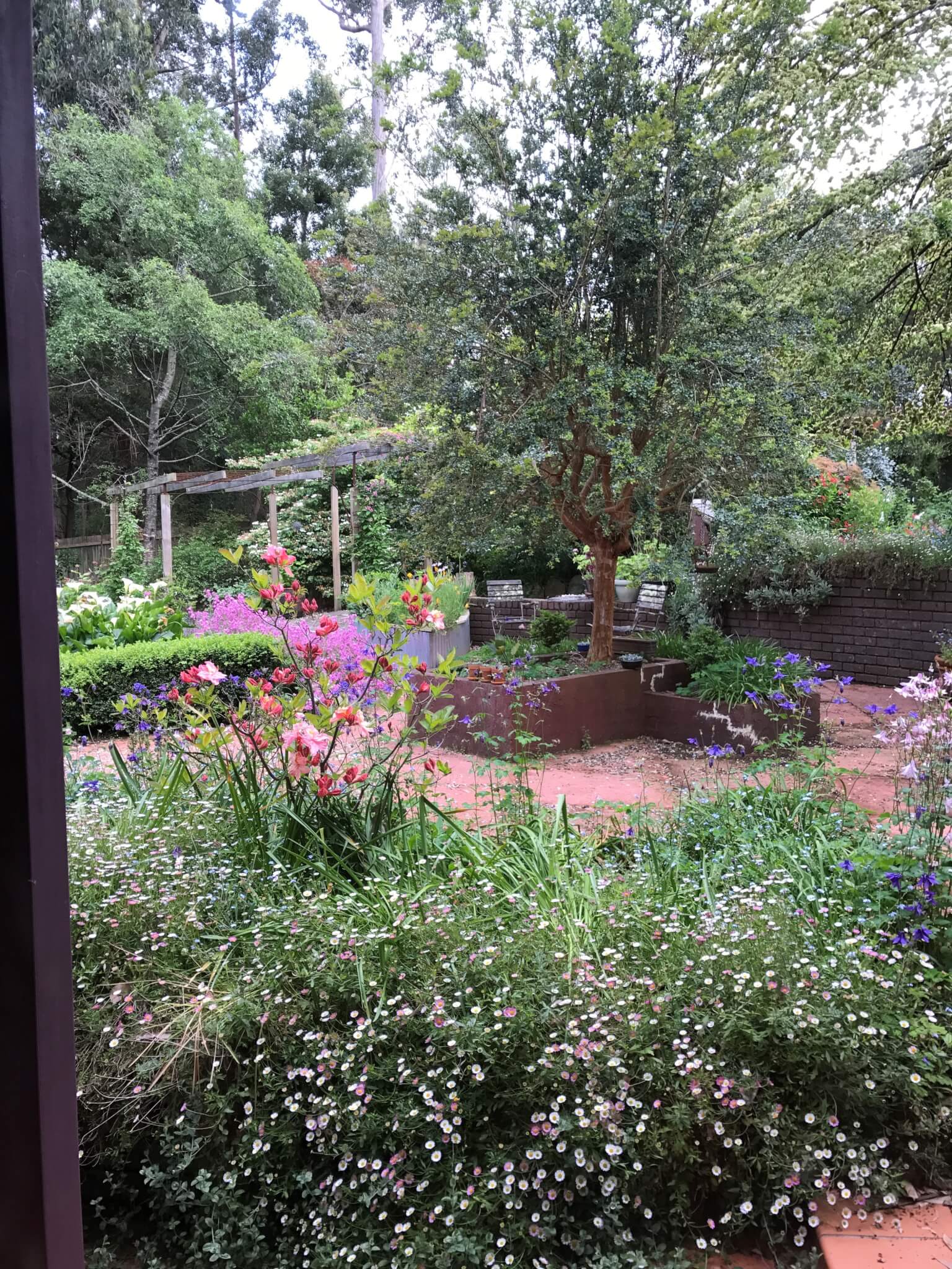 A garden with blooming flowers, green trees, and benches surrounded by lush foliage on a sunny day. - Home Instead