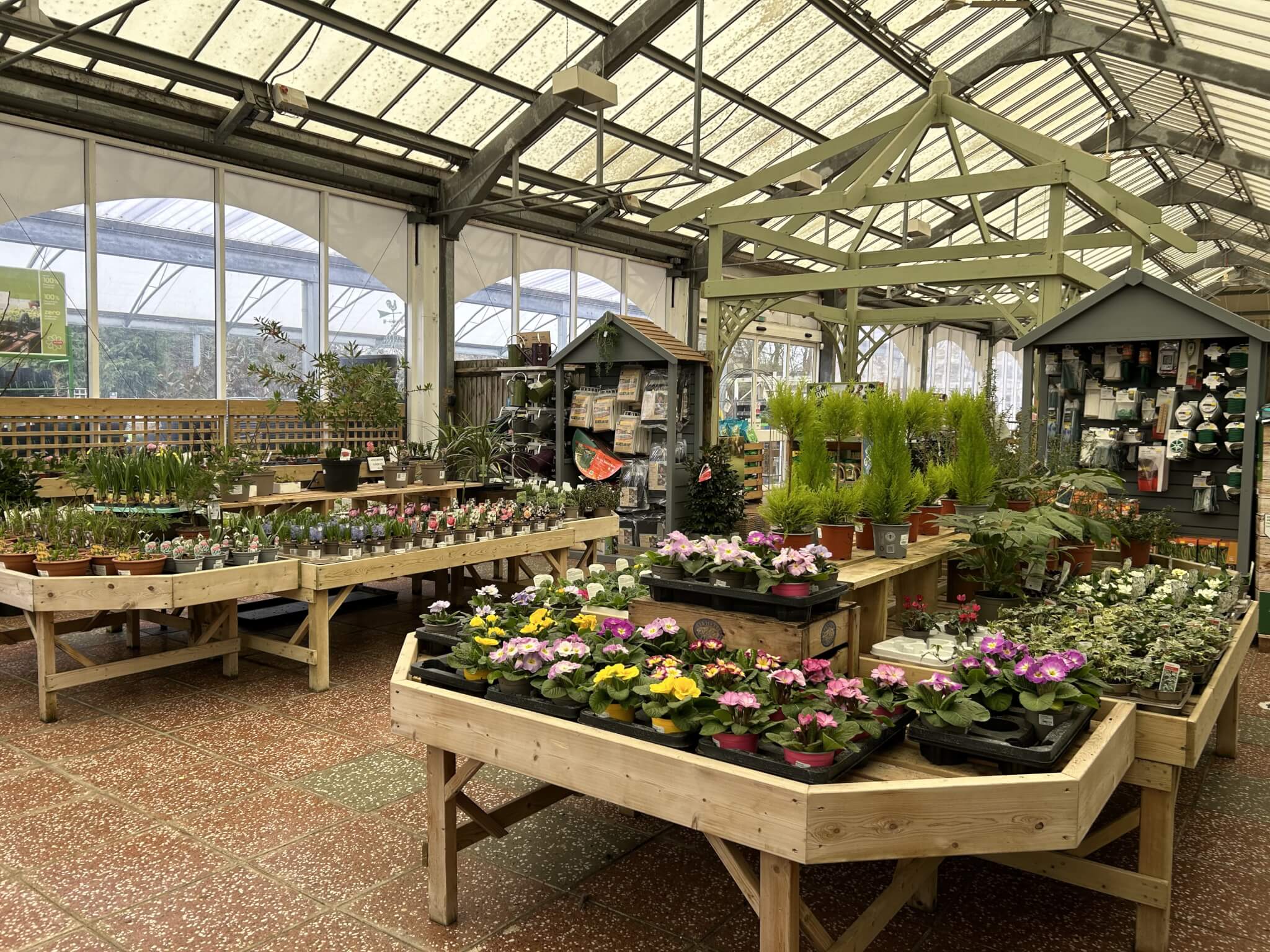Home Instead Basingstoke picture of Conkers Garden Centre with wooden tables displaying a variety of potted plants and flowers inside a well-lit greenhouse.