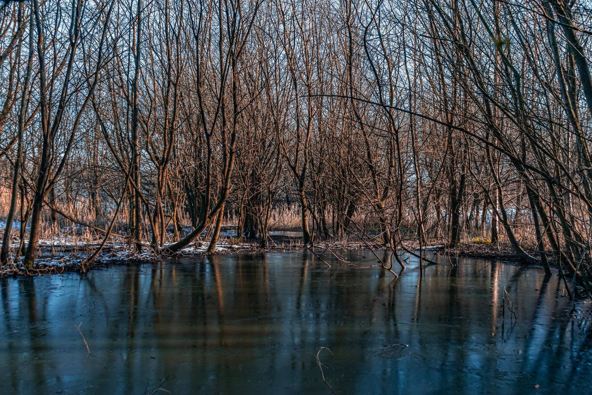 Greenspaces in Wigan for Older Adults