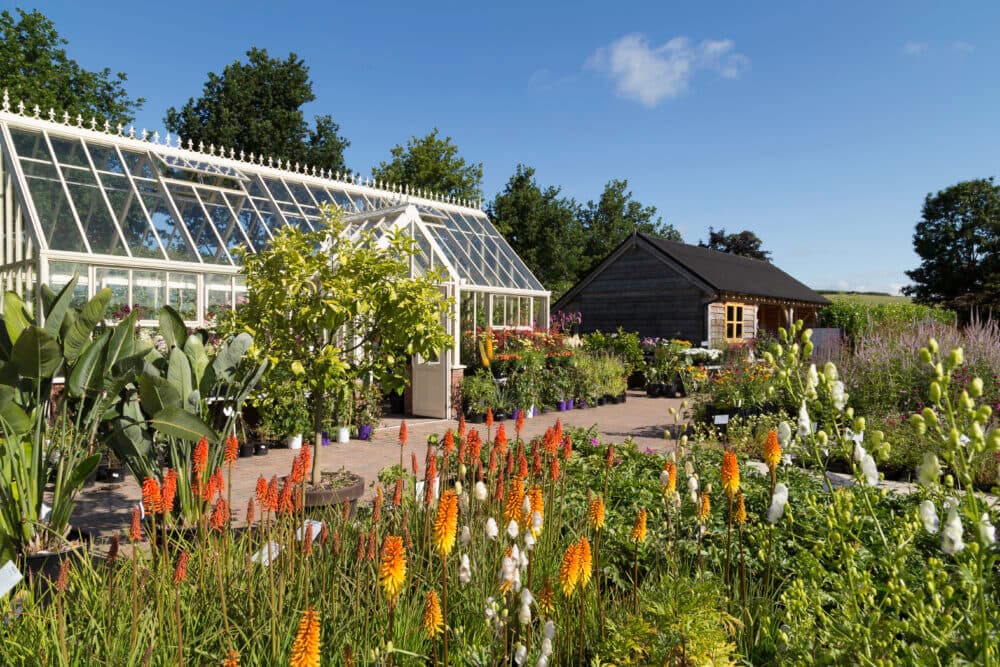A vibrant garden nursery with a greenhouse, various blooming flowers, and potted plants against a clear blue sky. - Home Instead