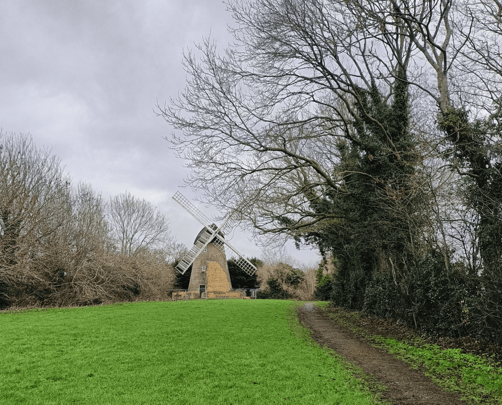 A windmill stands in a grassy field surrounded by leafless trees under a cloudy sky, with a dirt path on the right. - Home Instead
