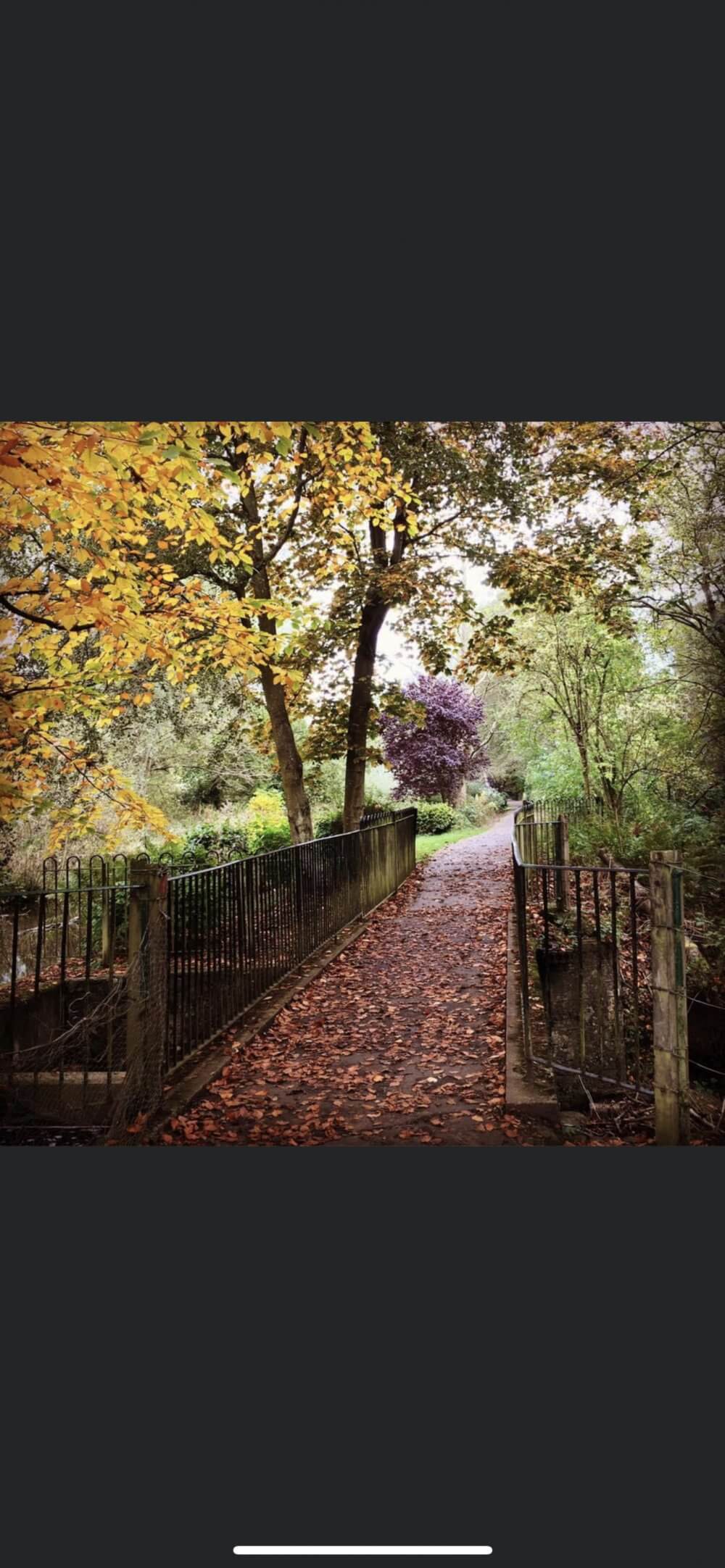 A pathway through a park in autumn, lined with colorful trees and fallen leaves, crosses a small bridge. - Home Instead