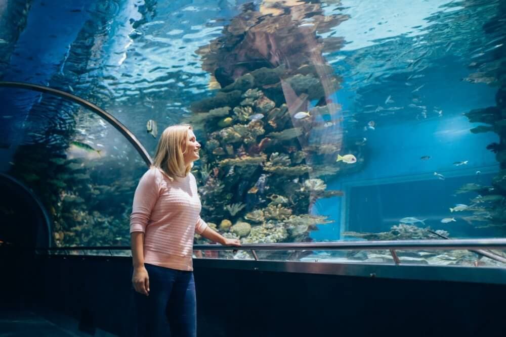 A woman in a pink sweater looks at an aquarium exhibit filled with fish and coral as she stands in an underwater tunnel. - Home Instead Bournemouth & Christchurch