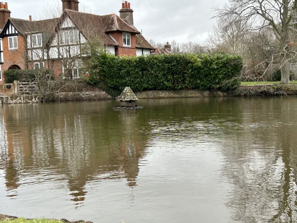 Home Instead Basingstoke picture of the Village Green pond at Sherfield on Loddon, showing a large pond with a small wooden structure in the centre, surrounded by trees, bushes, and houses in the background.