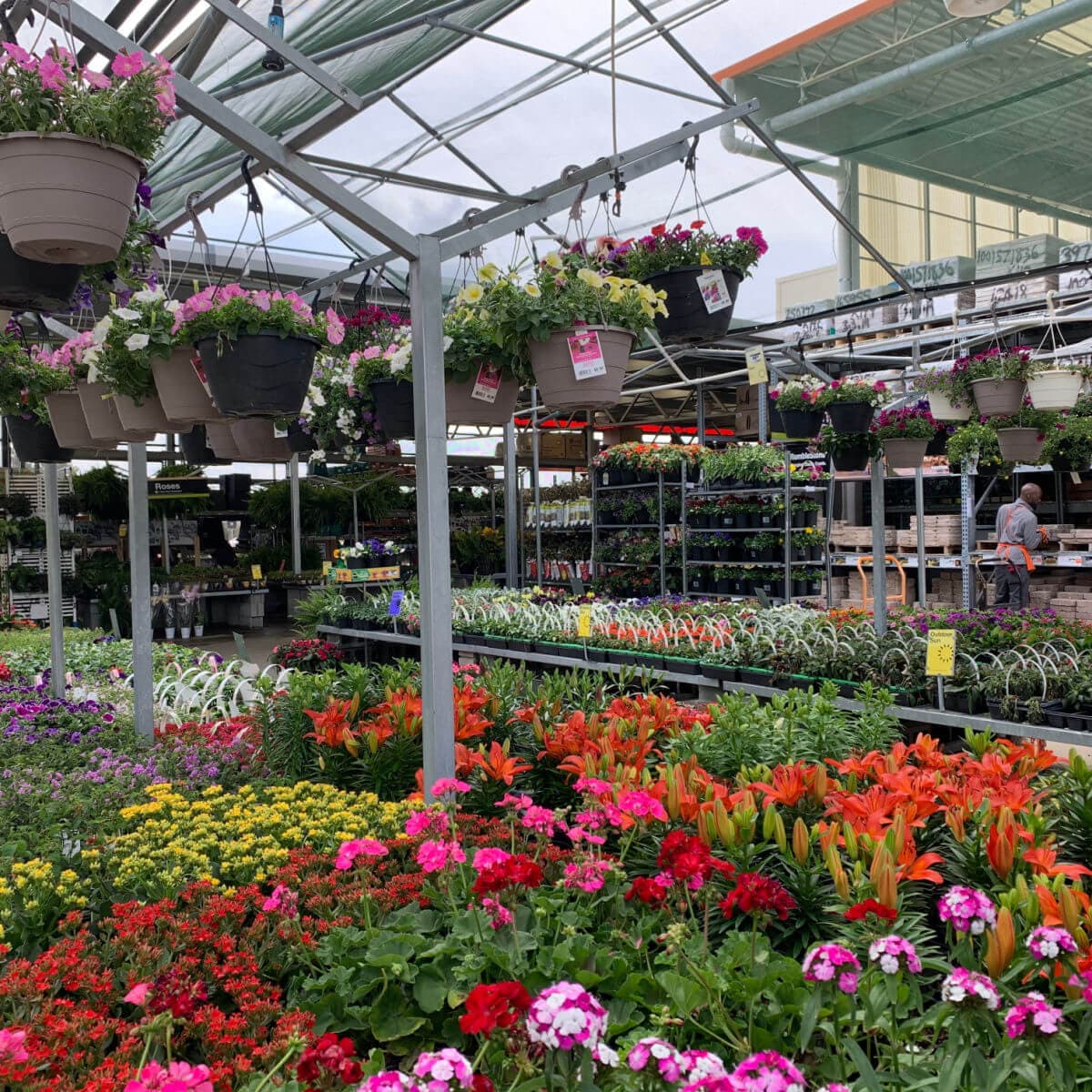 Local Garden Centres to visit around East Northants and North Bedfordshire