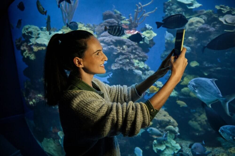 A woman takes a photo in front of a large aquarium filled with various fish and marine life. - Home Instead Bournemouth & Christchurch