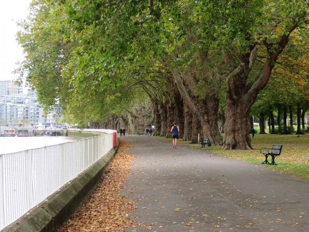 A person jogs along a tree-lined riverside path with fallen leaves, park benches, and buildings in the background. - Home Instead