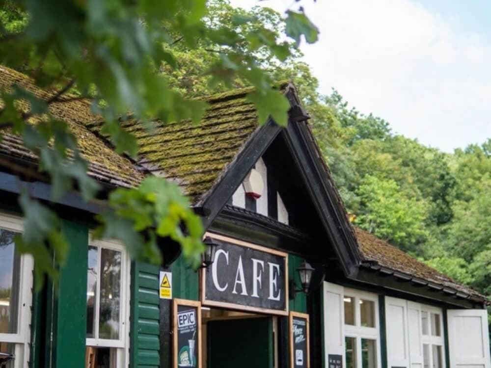 A quaint cafe with a moss-covered roof and green forest backdrop on a bright day. - Home Instead