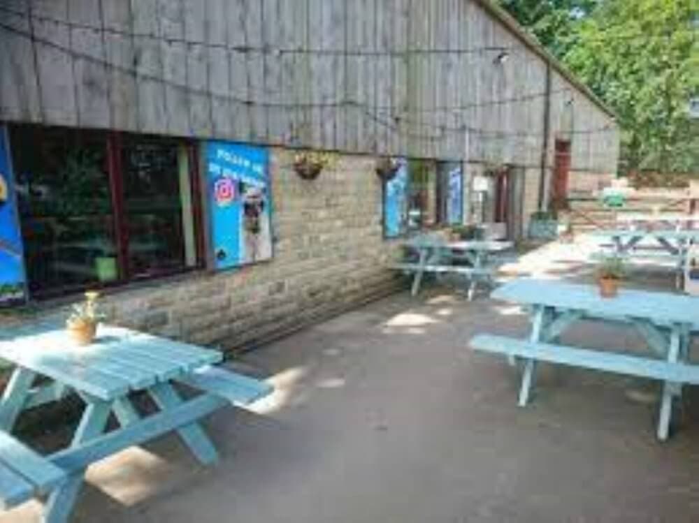 Outdoor cafe with light blue picnic tables, potted plants, and string lights beside a wooden and brick building. - Home Instead