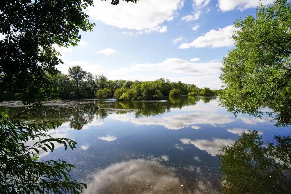 A tranquil lake framed by leafy trees, with blue sky and clouds reflected in the water. - Home Instead