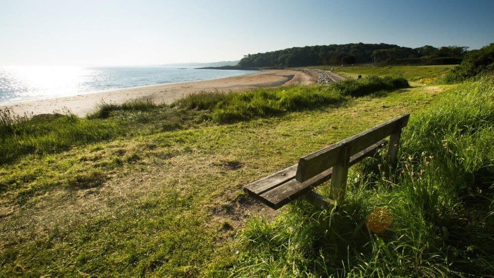 A wooden bench overlooking a sunny, grassy coastal area with a sandy beach and distant trees. - Home Instead