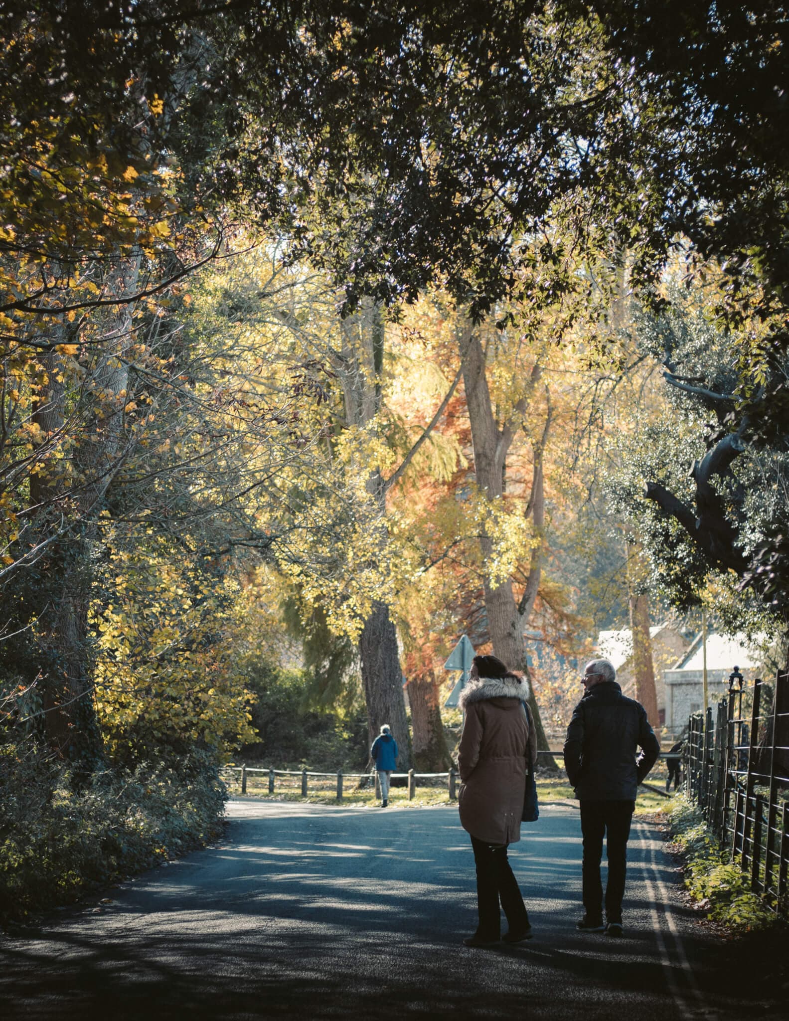 Two people in coats walk along a tree-lined path on an autumn day; another person is in the distance. - Home Instead