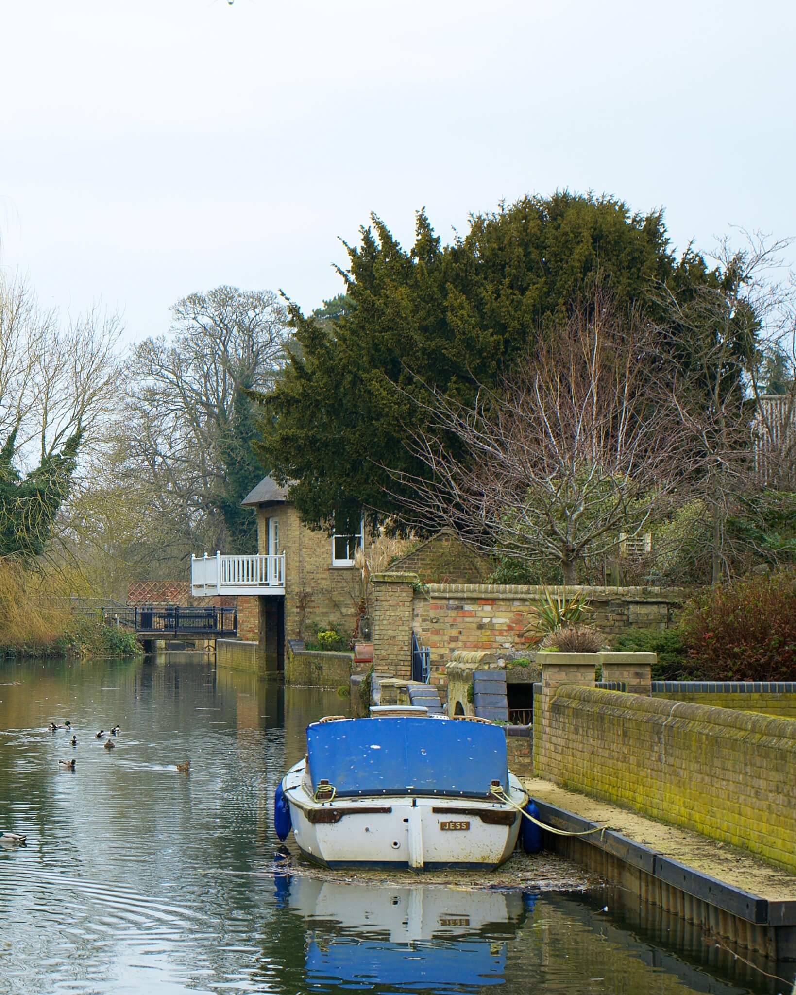 A small boat docked on a peaceful canal, with ducks swimming and a rustic house and trees in the background. - Home Instead