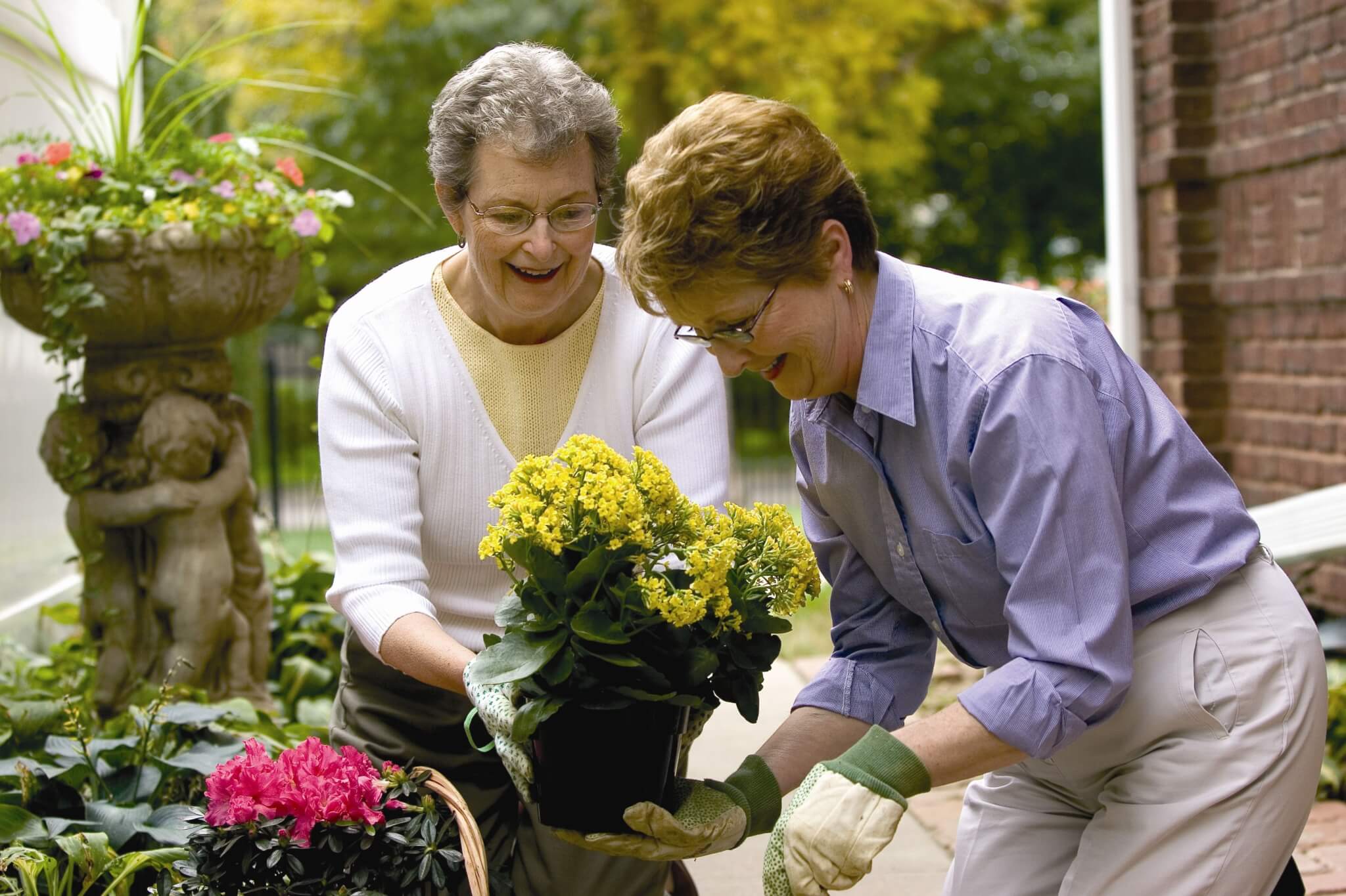 Two elderly women gardening together, smiling while holding a potted plant between them. - Home Instead