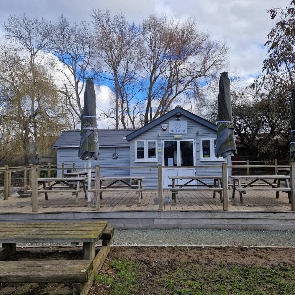 A small cafe with a wooden deck, picnic tables, and large umbrellas outside, surrounded by leafless trees. - Home Instead
