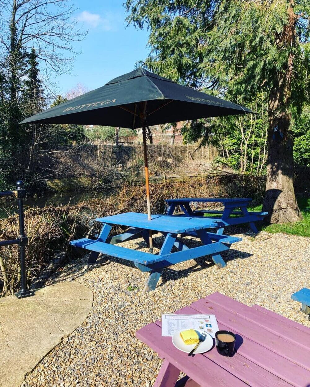 Outdoor seating area with blue picnic tables under a large umbrella, trees in the background, and a table with food and drinks. - Home Instead