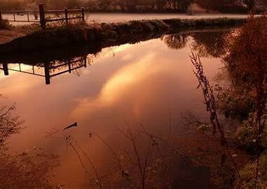 A serene river at sunset, with a reflection of the sky and a fence in the water, surrounded by trees and bushes. - Home Instead