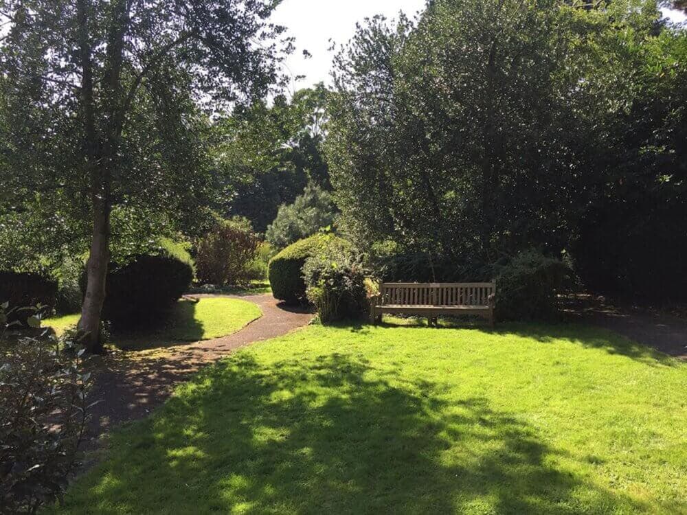 A wooden bench in a peaceful park with green grass, shaded pathways, and lush trees on a sunny day. - Home Instead