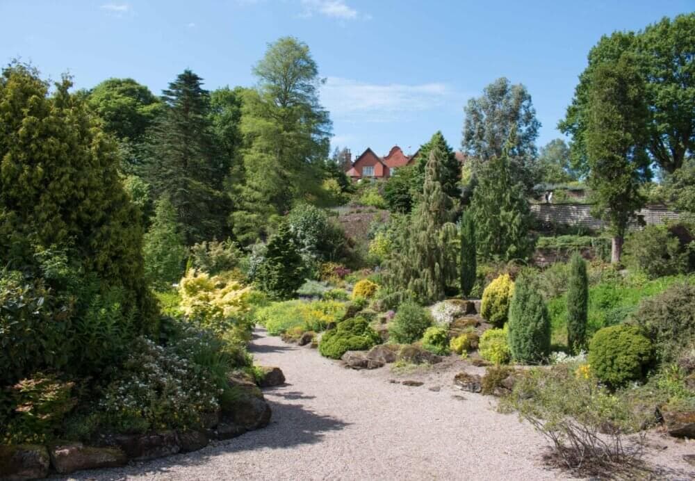 Gravel path in a lush garden with various trees and shrubs, leading to a red-roofed house in the background. - Home Instead