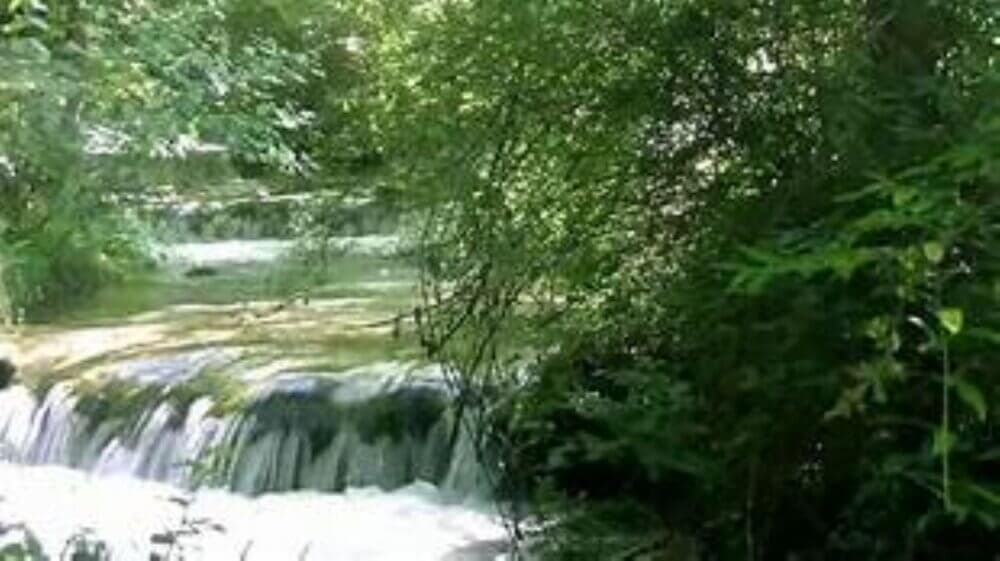 A small waterfall flows through a lush, green forest with sunlight filtering through the trees. - Home Instead