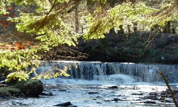 A small waterfall flows through a forest, surrounded by green trees with sunlight filtering through the branches. - Home Instead