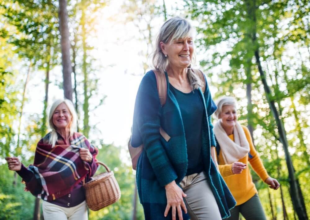 Three elderly women hiking in a forest, smiling and enjoying the sunlight. One carries a basket, another a backpack. - Home Instead