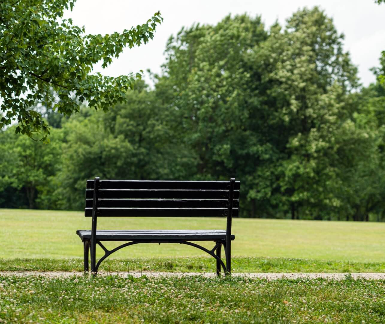 Wooden park bench on a grassy area with green trees in the background. - Home Instead Southampton