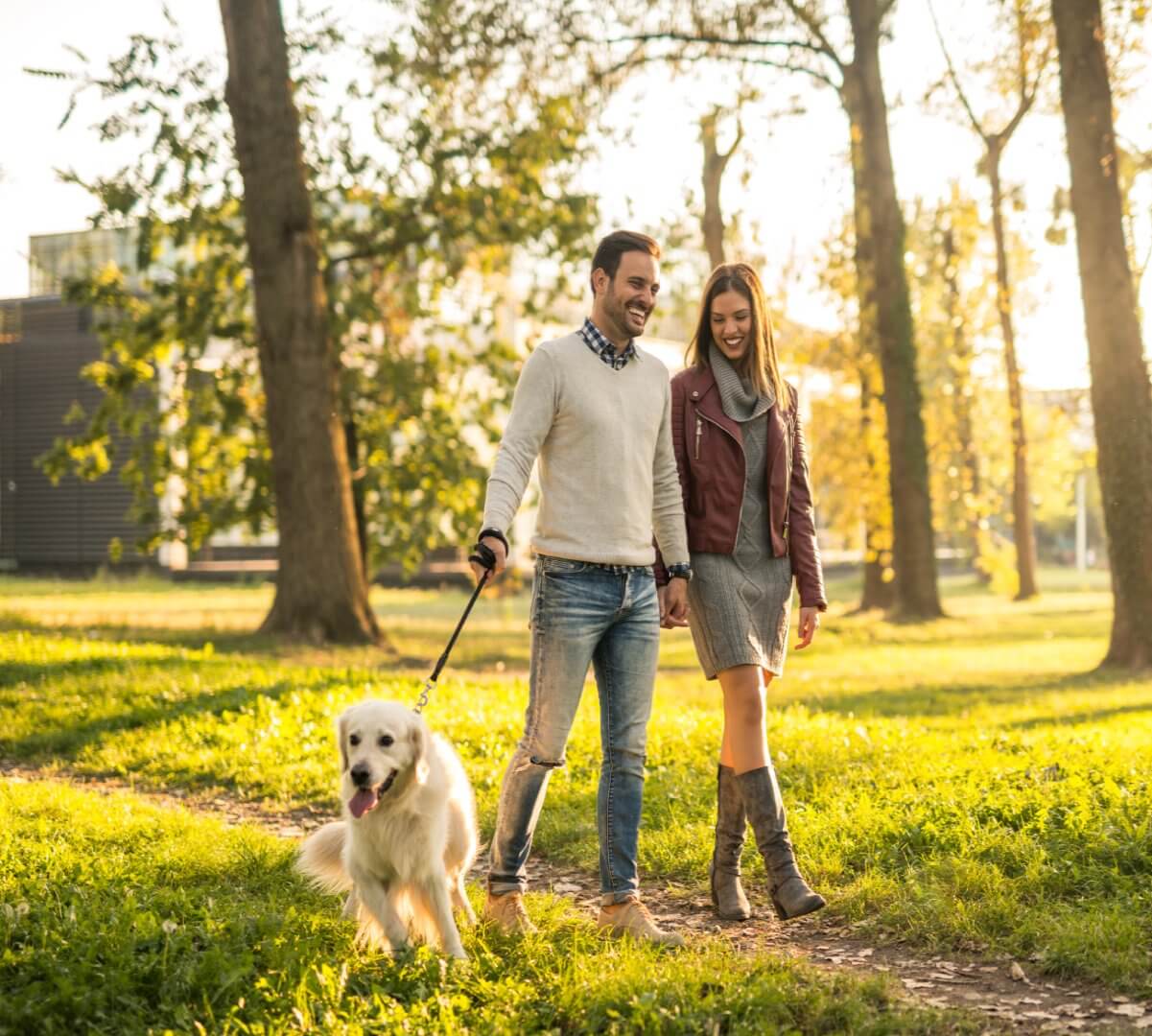 A couple walks a golden retriever on a sunny day in a park, surrounded by trees and greenery. - Home Instead
