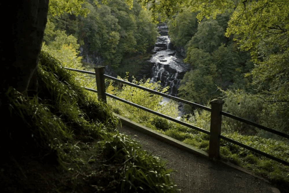 A waterfall seen through a wooden fence on a forest path, surrounded by lush green trees. - Home Instead
