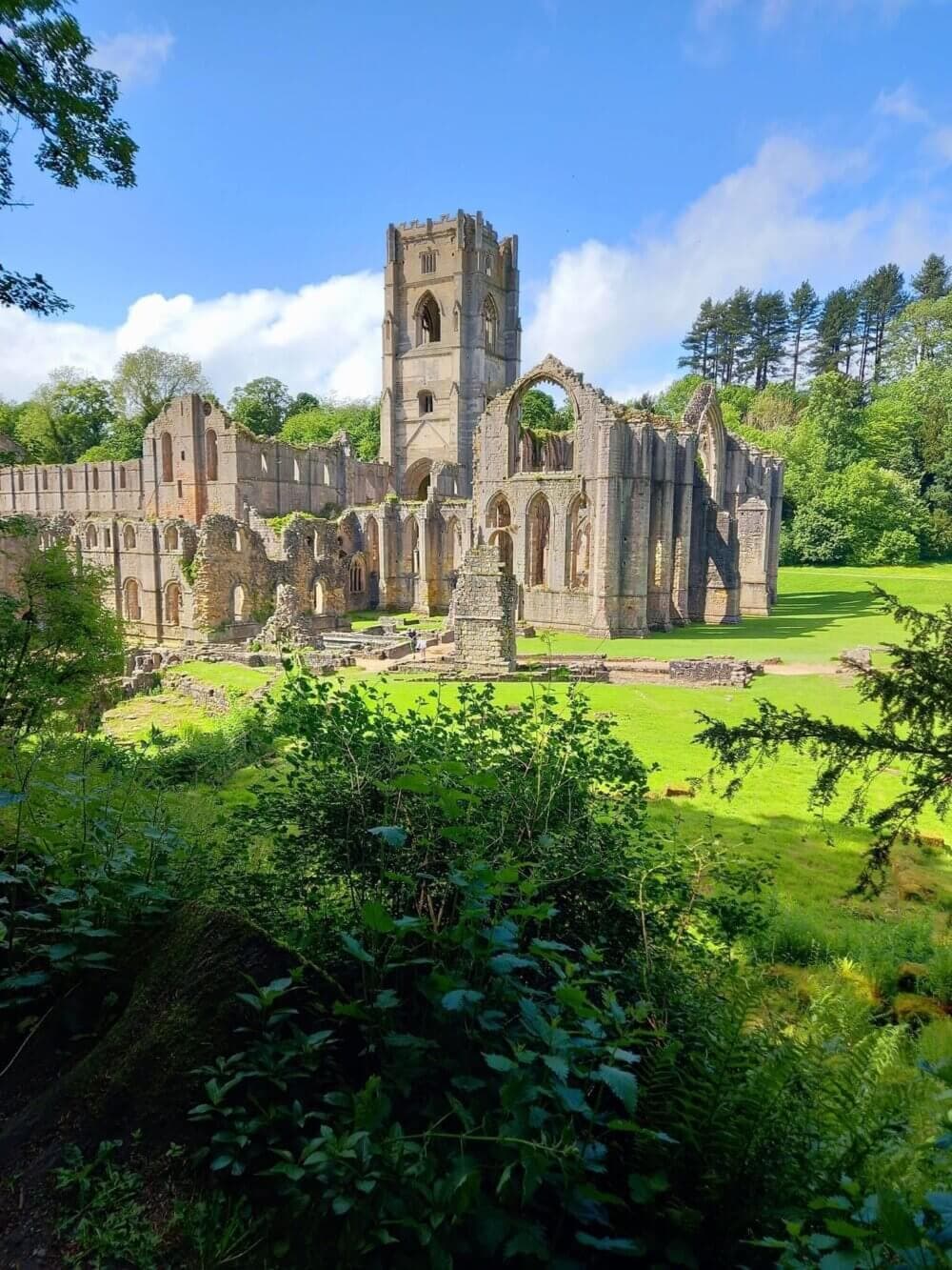 A ruined abbey with a tall tower and surrounding greenery under a blue sky. - Home Instead